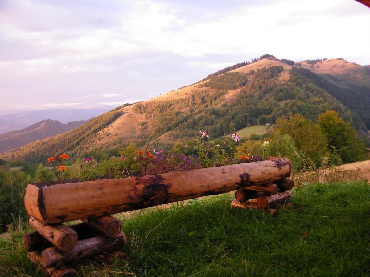 Pensiunea Bujor De Munte Petroşani エクステリア 写真